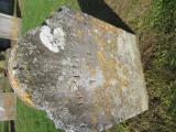 image of grave number 883491